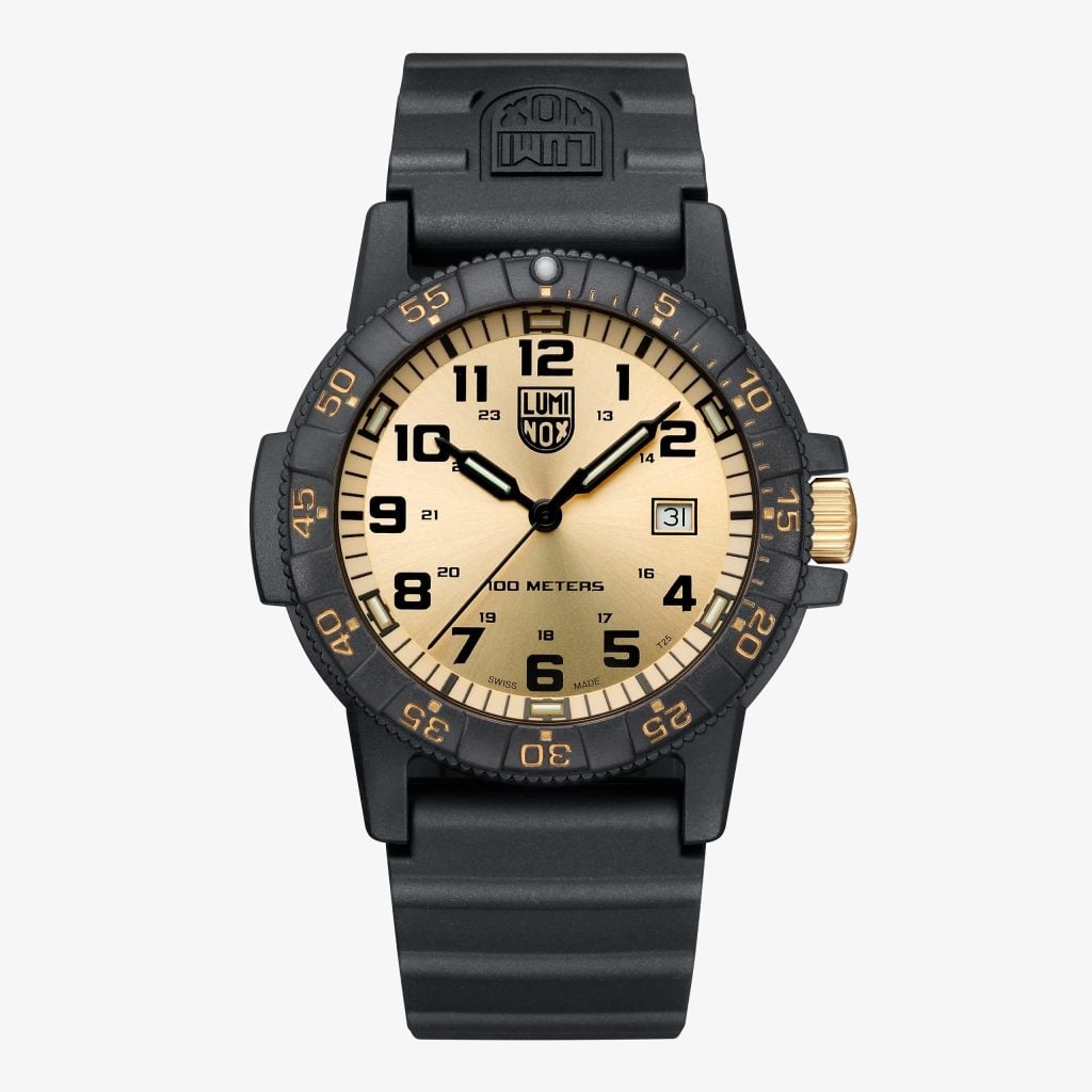 Luminox Leatherback Sea Turtle Giant 0320 Series | 0325.GP